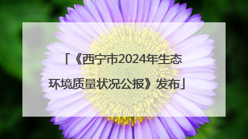 《西宁市2024年生态环境质量状况公报》发布