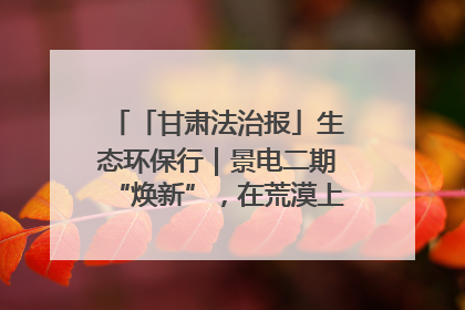 「甘肃法治报」生态环保行｜景电二期“焕新”，在荒漠上筑起一道绿色长城
