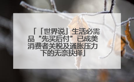 「世界说」生活必需品“先买后付”已成美消费者关税及通胀压力下的无奈抉择