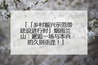 「乡村振兴示范带建设进行时」烟雨兰山：邂逅一场与本真的久别重逢！