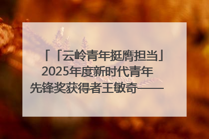 「云岭青年挺膺担当」2025年度新时代青年先锋奖获得者王敏奇——澜沧江上好渔人