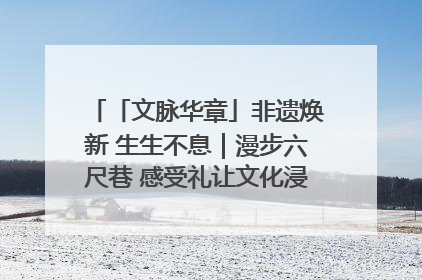 「文脉华章」非遗焕新 生生不息｜漫步六尺巷 感受礼让文化浸润的“巷”往生活