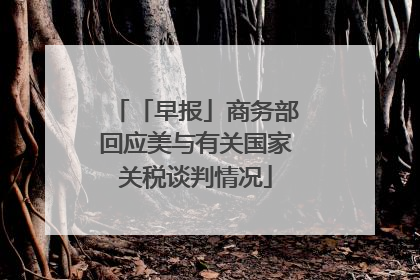 「早报」商务部回应美与有关国家关税谈判情况