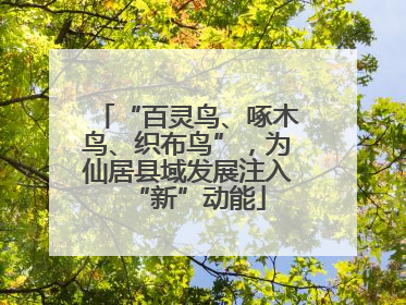“百灵鸟、啄木鸟、织布鸟”，为仙居县域发展注入“新”动能
