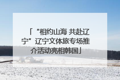 “相约山海 共赴辽宁”辽宁文体旅专场推介活动亮相韩国