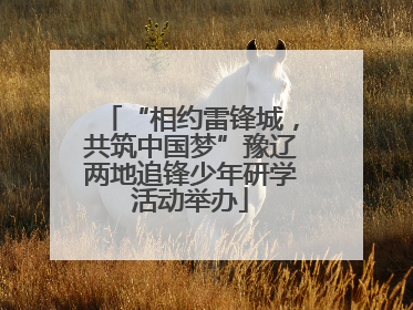 “相约雷锋城，共筑中国梦”豫辽两地追锋少年研学活动举办