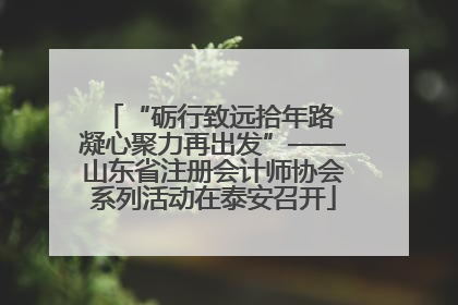 “砺行致远拾年路 凝心聚力再出发”——山东省注册会计师协会系列活动在泰安召开
