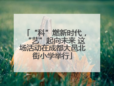 “科”燃新时代，“艺”起向未来 这场活动在成都大邑北街小学举行