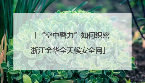 “空中警力”如何织密浙江金华全天候安全网