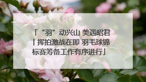 “羽”动兴山 美遇昭君丨挥拍激战在即 羽毛球锦标赛筹备工作有序进行