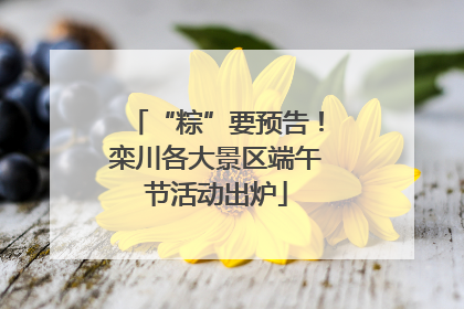 “粽”要预告！栾川各大景区端午节活动出炉