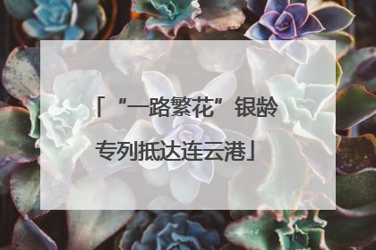 “一路繁花”银龄专列抵达连云港