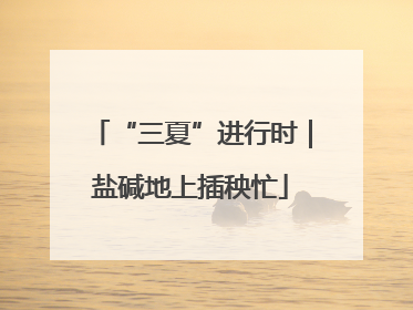 “三夏”进行时|盐碱地上插秧忙
