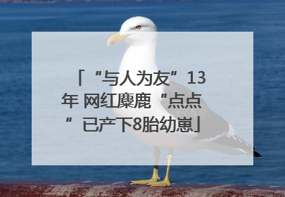 “与人为友”13年 网红麋鹿“点点”已产下8胎幼崽