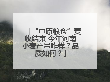 “中原粮仓”麦收结束 今年河南小麦产量咋样？品质如何？