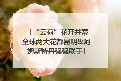 “云荷”花开并蒂 全球两大花都昆明&阿姆斯特丹强强联手