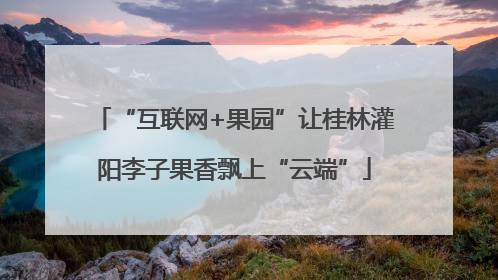 “互联网+果园”让桂林灌阳李子果香飘上“云端”