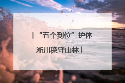 “五个到位”护体 淅川稳守山林