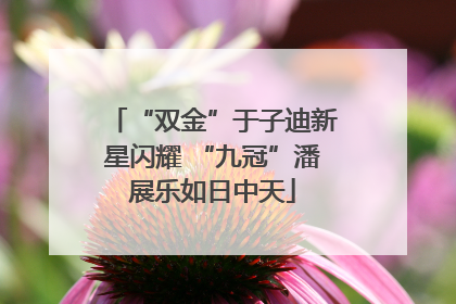 “双金”于子迪新星闪耀 “九冠”潘展乐如日中天