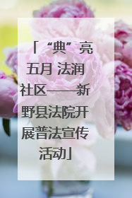 “典”亮五月 法润社区——新野县法院开展普法宣传活动