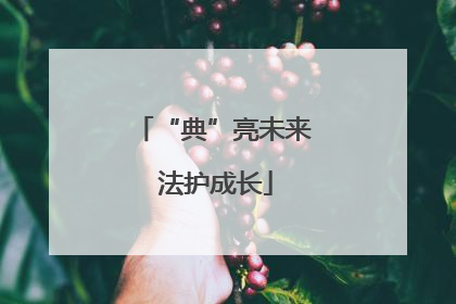 “典”亮未来 法护成长