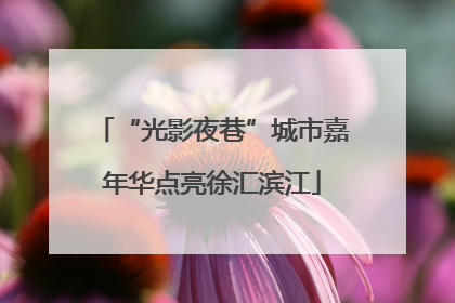 “光影夜巷”城市嘉年华点亮徐汇滨江