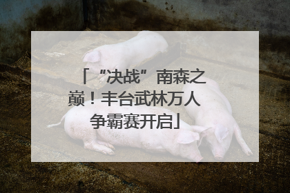 “决战”南森之巅！丰台武林万人争霸赛开启