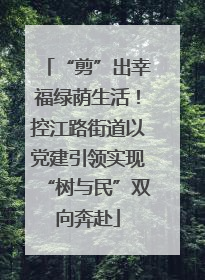 “剪”出幸福绿荫生活！控江路街道以党建引领实现“树与民”双向奔赴