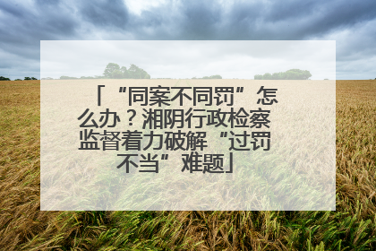 “同案不同罚”怎么办？湘阴行政检察监督着力破解“过罚不当”难题