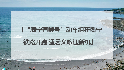 “周宁有鲤号”动车组在衢宁铁路开跑 避暑文旅迎新机