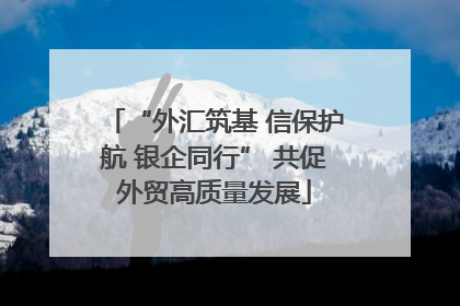 “外汇筑基 信保护航 银企同行” 共促外贸高质量发展