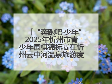 “奔跑吧·少年”2025年忻州市青少年围棋锦标赛在忻州云中河温泉旅游度假区圆满举办