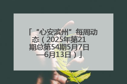 “心安滨州”每周动态（2025年第21期总第54期5月7日—6月13日）