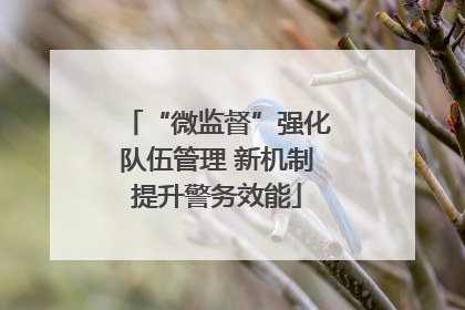 “微监督”强化队伍管理 新机制提升警务效能