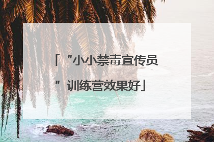 “小小禁毒宣传员”训练营效果好
