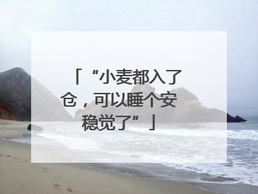“小麦都入了仓，可以睡个安稳觉了”