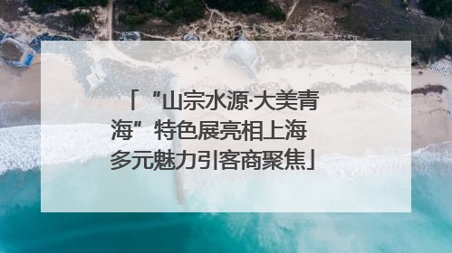 “山宗水源·大美青海”特色展亮相上海 多元魅力引客商聚焦