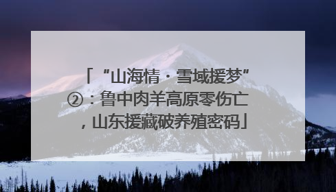 “山海情・雪域援梦”②：鲁中肉羊高原零伤亡，山东援藏破养殖密码