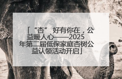 “杏” 好有你在，公益暖人心——2025 年第二届低保家庭杏树公益认领活动开启
