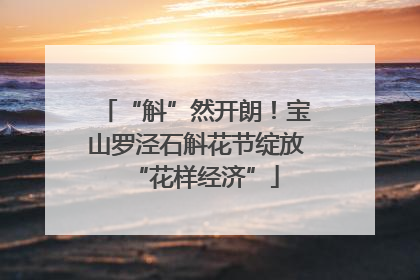 “斛”然开朗！宝山罗泾石斛花节绽放“花样经济”