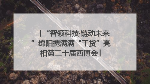 “智领科技·链动未来”绵阳携满满“干货”亮相第二十届西博会