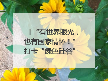 “有世界眼光，也有国家情怀！”打卡“绿色硅谷”，博主新解乐山｜网络名人四川行