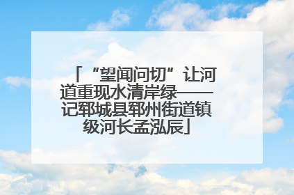 “望闻问切”让河道重现水清岸绿——记郓城县郓州街道镇级河长孟泓辰