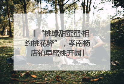 “桃缘甜蜜蜜·相约桃花驿”，孝南杨店镇早蜜桃开园