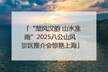 “楚风汉韵 山水淮南”2025八公山风景区推介会惊艳上海