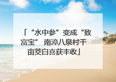 “水中参”变成“致富宝” 南漳八泉村千亩茭白喜获丰收