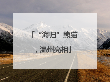 “海归”熊猫，温州亮相