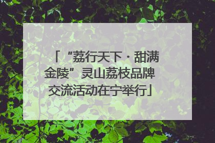 “荔行天下・甜满金陵”灵山荔枝品牌交流活动在宁举行