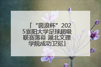 “茵浪杯”2025襄阳大学足球超级联赛落幕 湖北文理学院成功卫冕