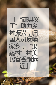 “蔬果义工”助力乡村振兴，归国人员反哺家乡，“果蔬村”村美民富香飘远近